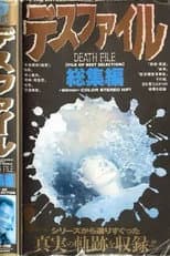 Poster for Death File: Summary