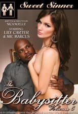 Poster for The Babysitter 5