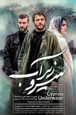 Poster for Cypress Under Water