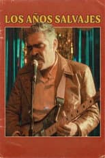 Poster for The Wild Years