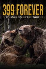 Poster for 399 Forever