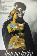 Poster for Hon na kočku