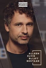 Poster for Alleen Elvis blijft bestaan