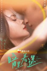 Poster for You Complete Me