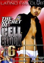Poster for The Secret of Cell Block 6