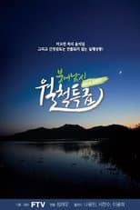Poster for 붕어낚시 월척특급