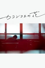 Poster for Kalanchoe