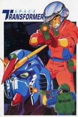 Poster for Space Transformer