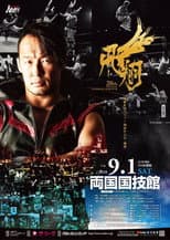 Poster for NOAH: Naomichi Marufuji 20th Anniversary Show