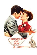 Poster for Bundle of Joy