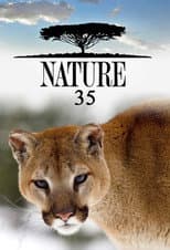 Poster for Season 35