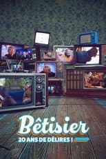 Poster for Bêtisier : 20 ans de délires !
