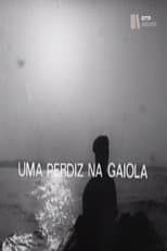 Poster for Uma Perdiz na Gaiola