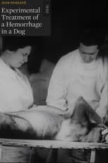 Poster for Experimental Treatment of a Hemorrhage in a Dog