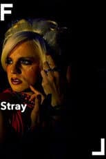 Poster for Stray