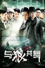 Poster for 与狼共舞