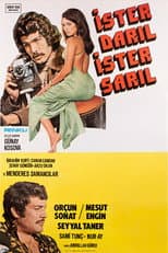 Poster for İster Darıl İster Sarıl