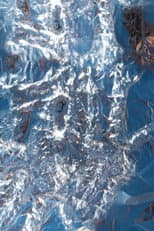 Poster for FOIL