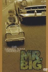 Poster for Big, Bigger, Biggest! The Best Of Mr. Big