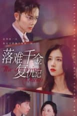 Poster for 落难千金复仇记