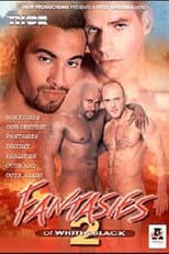 Poster for Fantasies Of White & Black 2