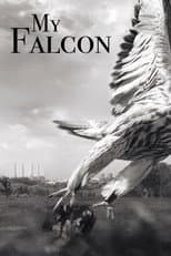 Poster for My Falcon