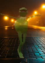 Poster for A delicate dance with god ~ {Kermit