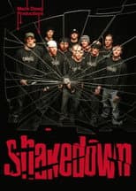 Poster for Shakedown