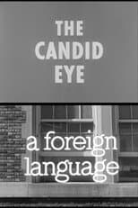 Poster for A Foreign Language