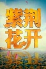 Poster for 紫荆花开