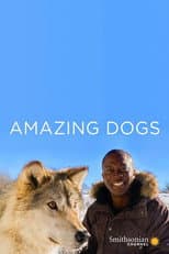 Poster for Amazing Dogs