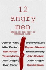 Poster for 12 Angry Men