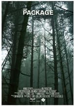 Poster for The Package