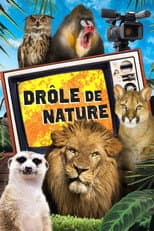 Poster for Bad Nature