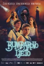 Poster for Bumblebee's Summer