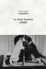 Poster for Les chats boxeurs