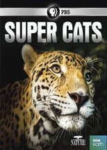 Poster for Super Cats
