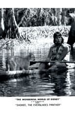 Poster for Shokee, the Everglades Panther