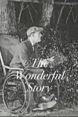 Poster for The Wonderful Story