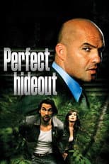 Poster for Perfect Hideout
