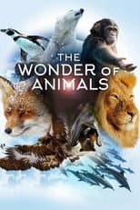 Poster for The Wonder of Animals