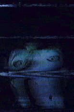 Poster for The Mistwood Incident