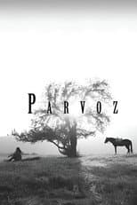 Poster for Parvoz