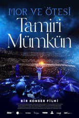 Poster for Mor ve Ötesi: Tamiri Mümkün
