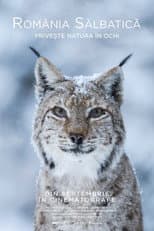 Poster for Wild Romania