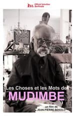Poster for Mudimbe's Order of Things