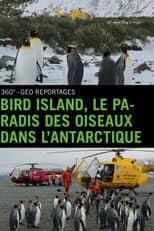 Poster for Bird Island - Allein unter Pinguinen