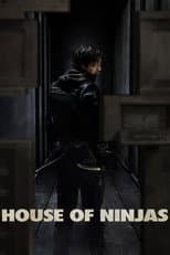 Poster for House of Ninjas