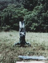 Poster for A Matter of Baobab: With One Growth