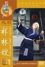 Poster for 祥林嫂